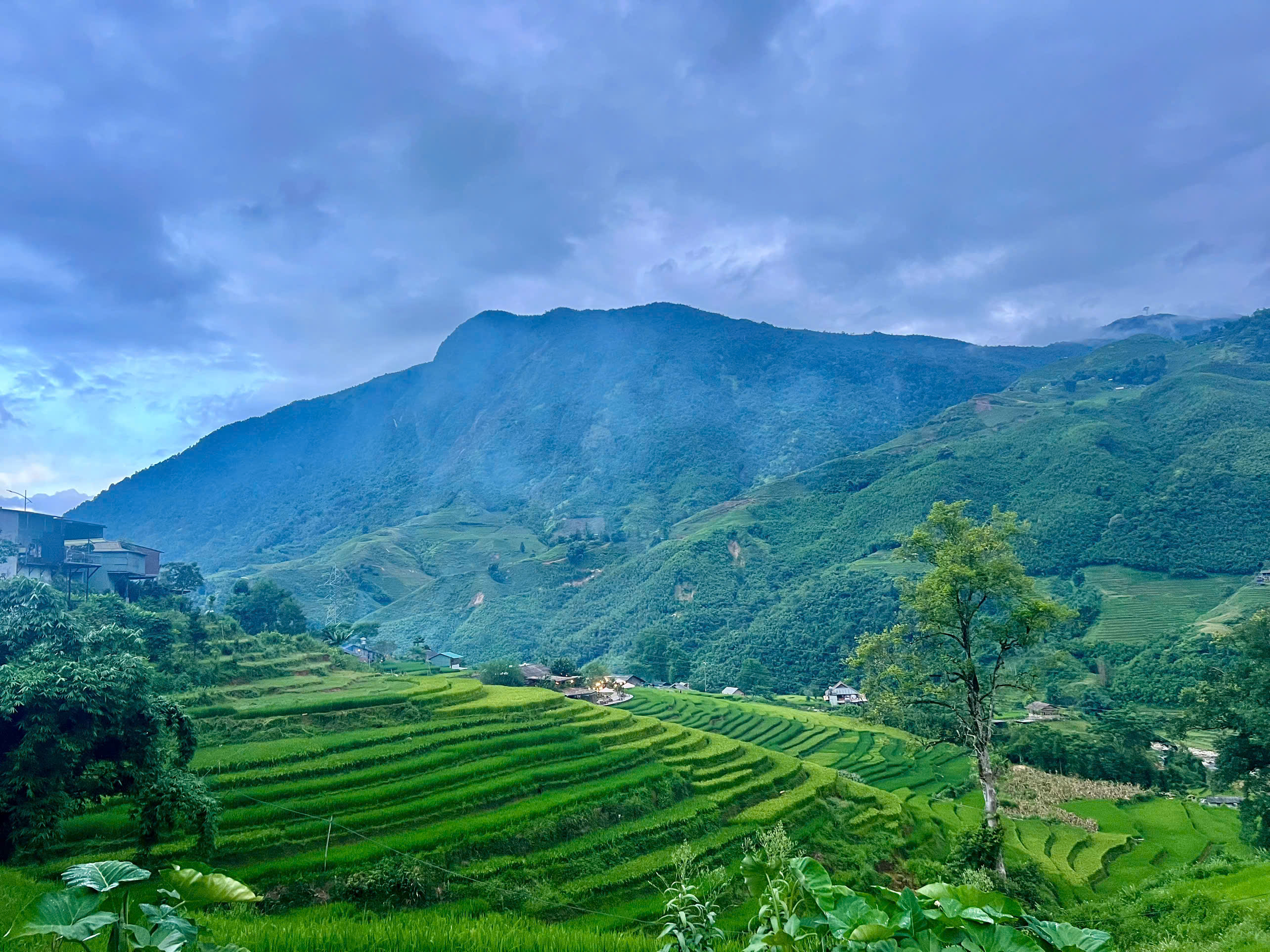 Design Your Own Hmong Experience