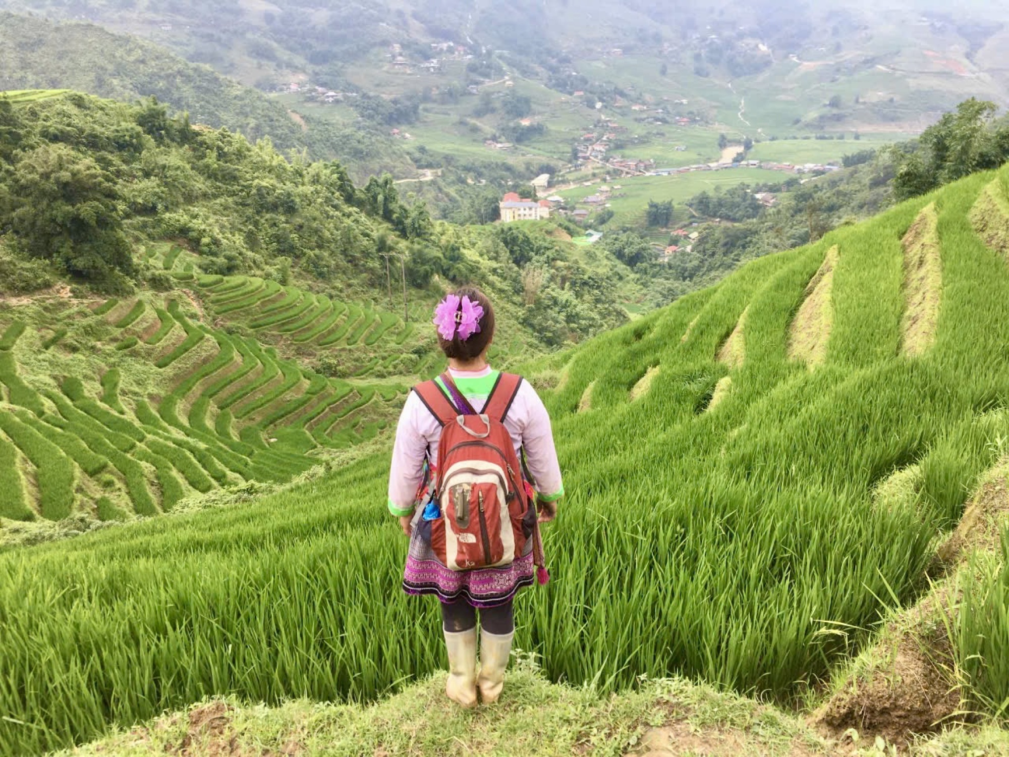 Rice terrace trekking