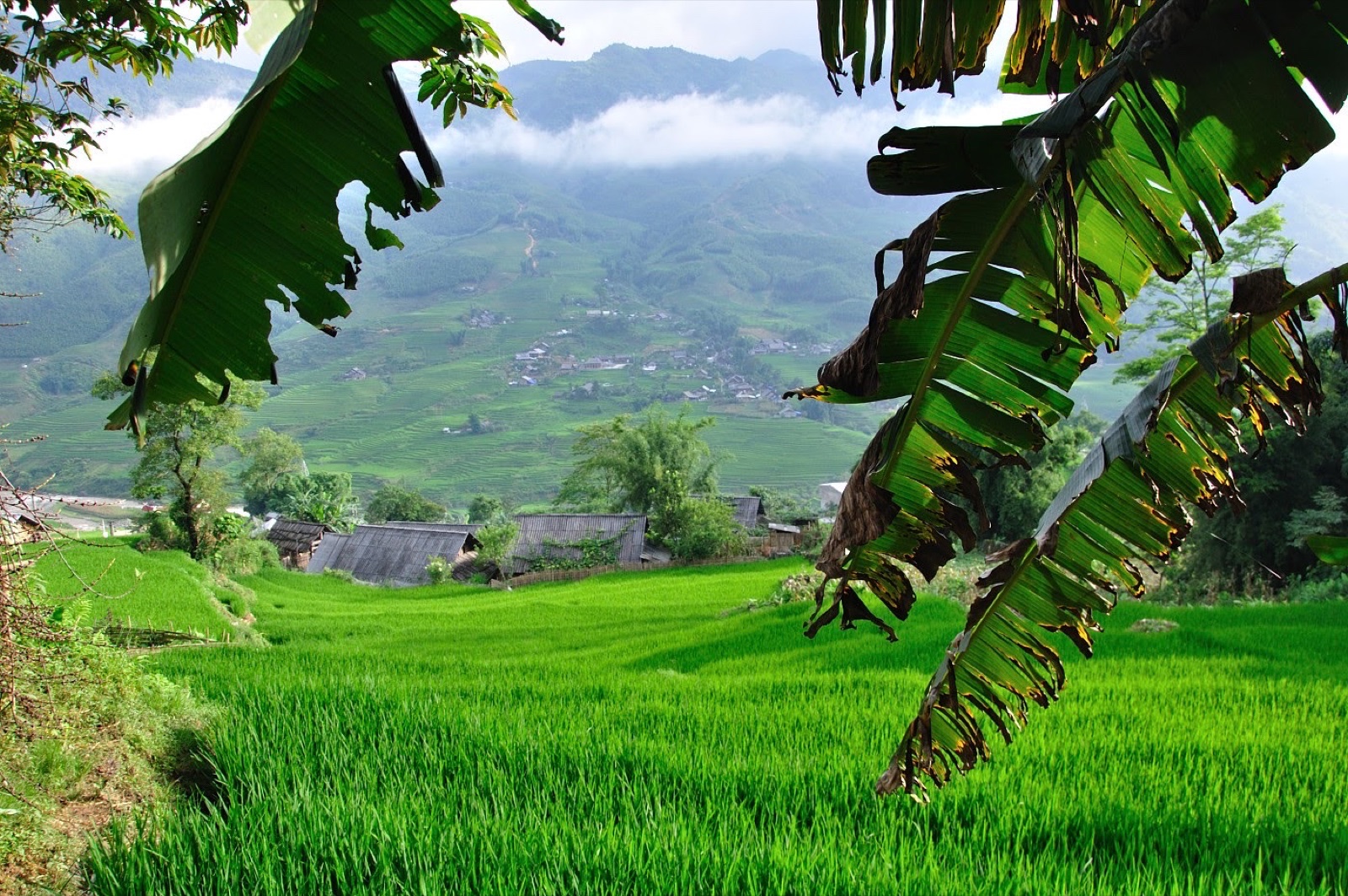 Mountain village cultural walk